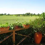 Nyaraló Olholm