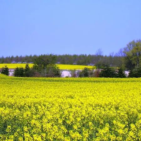 Olholm 度假居 斯泰厄
