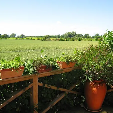 Holiday home Olholm