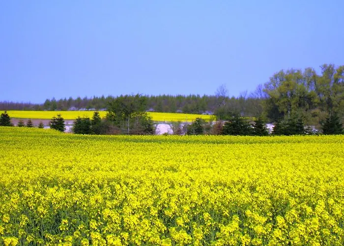 Olholm Tatil Evi Stege